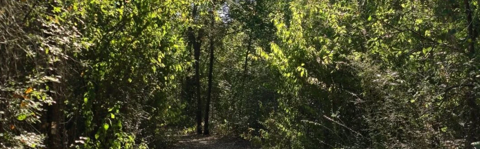 10 Best Hikes and Trails in Dallas, TX