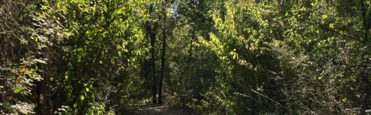 10 Best Hikes and Trails in Dallas, TX