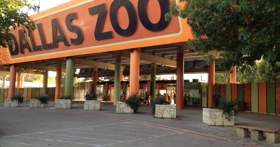 48 Horas en Dallas. Principales cosas para hacer, comer y explorar en 2 días.