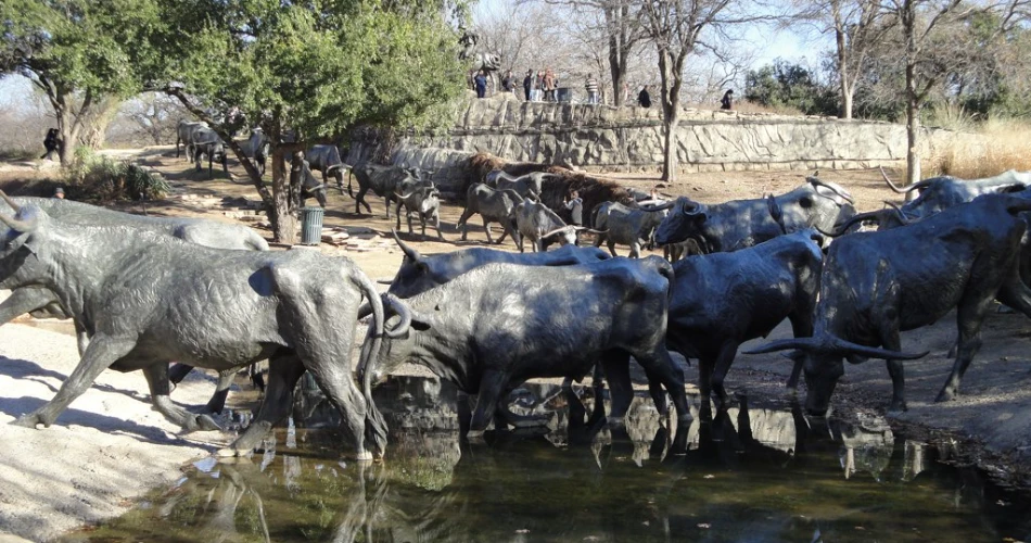 Las 10 Mejores Atracciones para Niños en Dallas