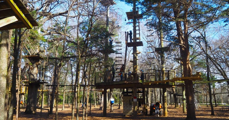 Las 10 Mejores Atracciones para Niños en Dallas