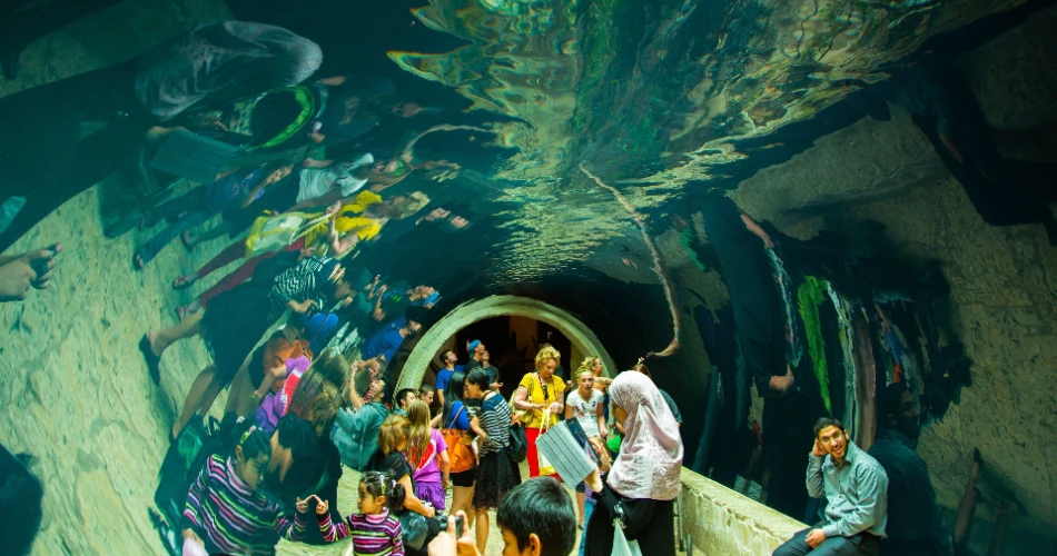 Las 10 Mejores Atracciones para Niños en Dallas