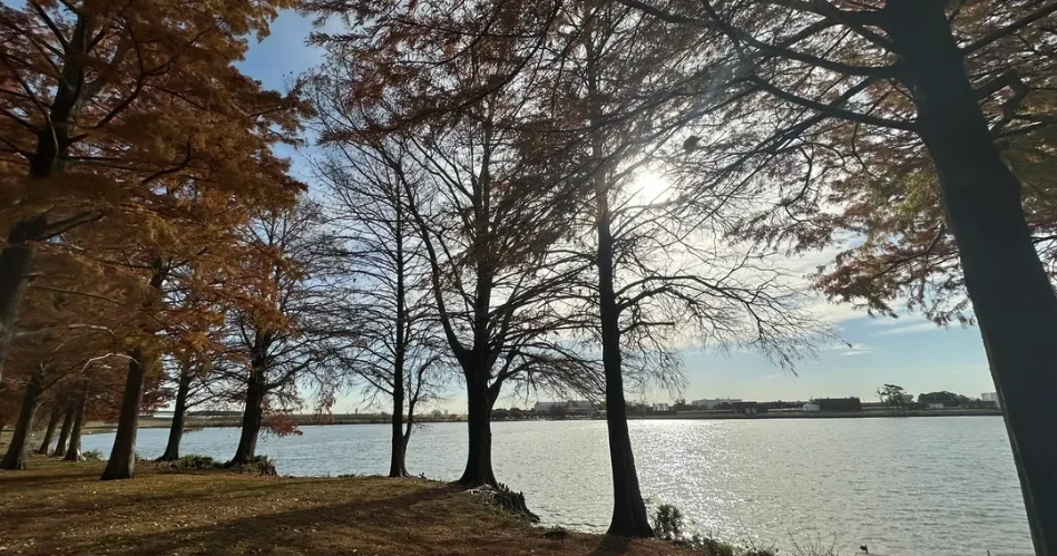 10 Best Hikes and Trails in Dallas, TX